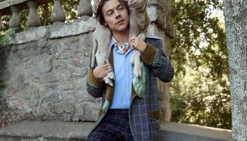 Harry Styles, Gucci a zvěř v hlavní roli - přichází nejnovější kampaň Cruise 2019