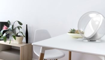Vpusťte do svého obydlí dostatek přírodního světla