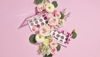 Rosé All Day kolekce