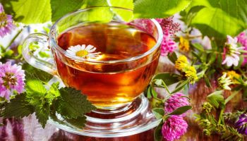 Detoxikace organismu: Kdy se do ní pustit a jak dlouhodobě udržet tělo bez škodlivých látek