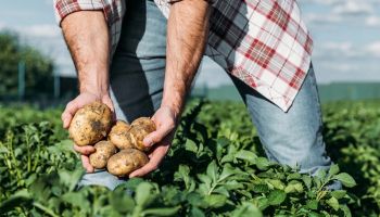 Nakupujte lokální potraviny od českých farmářů. Nikdy to nebylo tak snadné jako dnes