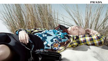 PRADA 365