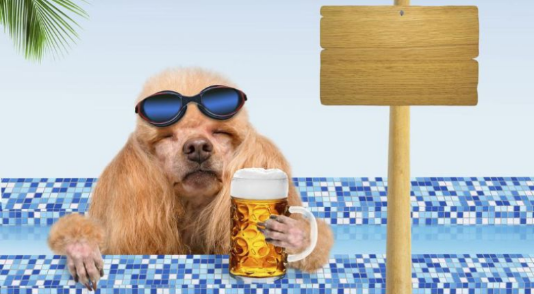 Pivo pro vašeho psa... ne pro vás!