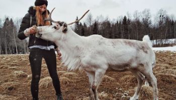Östersund: srdce Švédska
