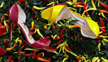 Manolo Blahnik a jeho nová kolekce pro rok 2014