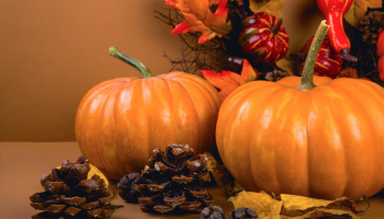 Nejlepší podzimní dekorace do vašeho obydlí