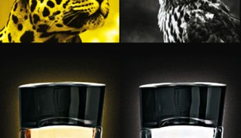 Ungaro Feminin &amp; Ungaro Masculin