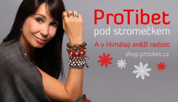 ProTibet pod stromečkem. A v Himálaji sněží radost