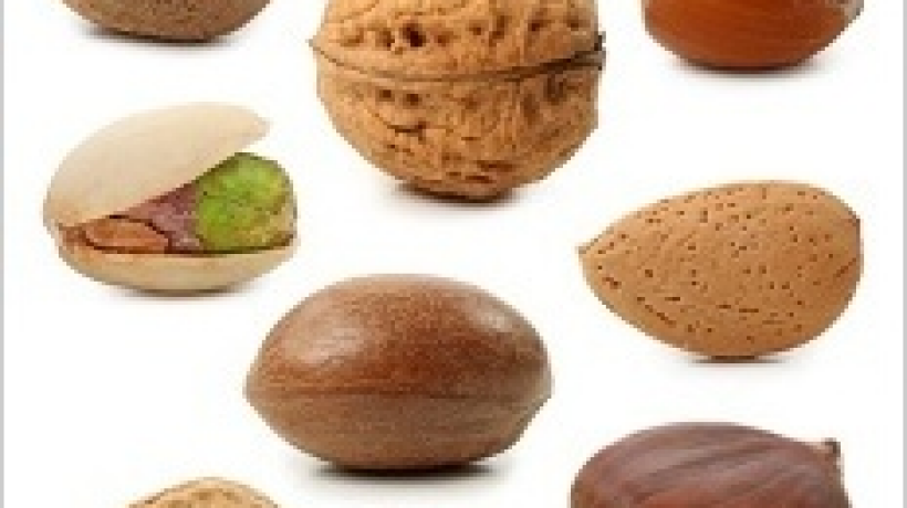 Ořechy a oříšky – každý je zdraví prospěšný
