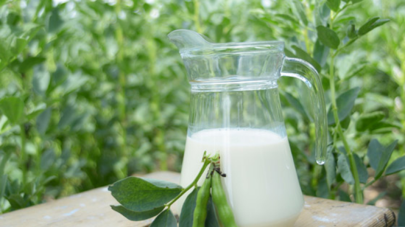 Sójové mléko nahradí klasické a dokáže vám zajímavě zpestřit jídelníček, i když nejste alergik na laktózu