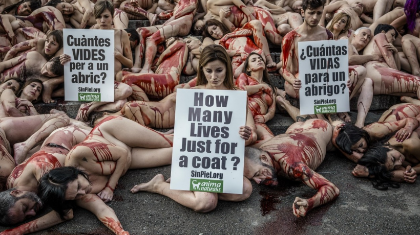 Desítky nahých aktivistů