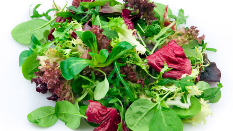 Saláty jsou plné vitamínu – listová zelenina nám dokáže v horkém létě příjemně odlehčit jídelníček!