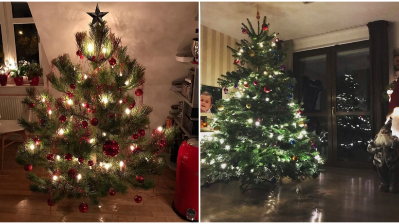 Kdo se loni i letos z českých osobností pochlubil vánočním stromečkem?