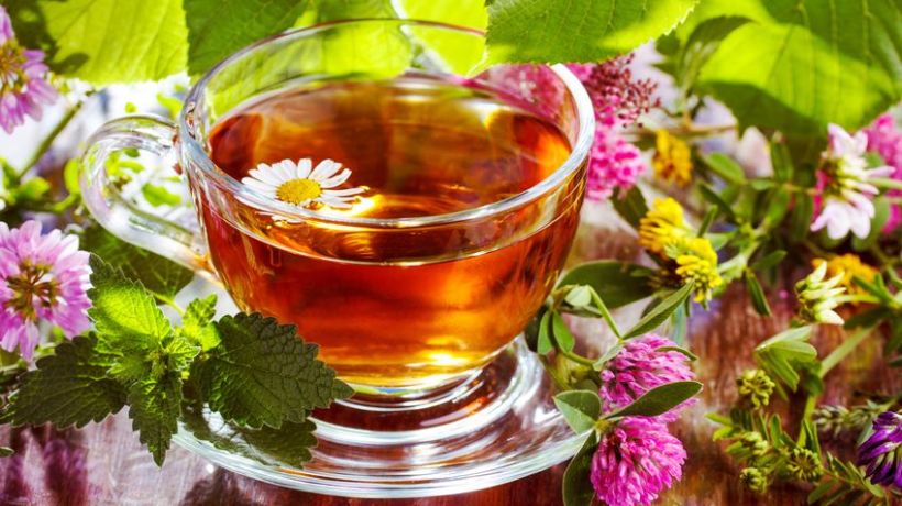 Detoxikace organismu: Kdy se do ní pustit a jak dlouhodobě udržet tělo bez škodlivých látek