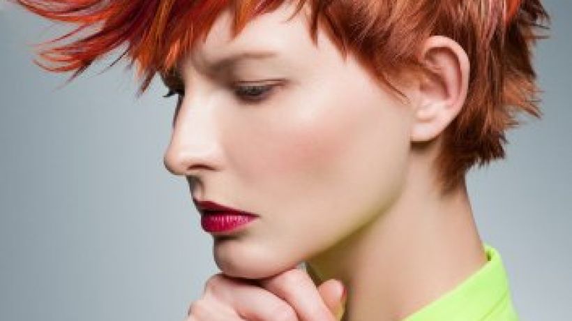 Už je to tady! 13. ročník Czech and Slovak Hairdressing Awards 2013
