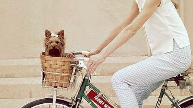 Tajemství krásy Audrey Hepburn