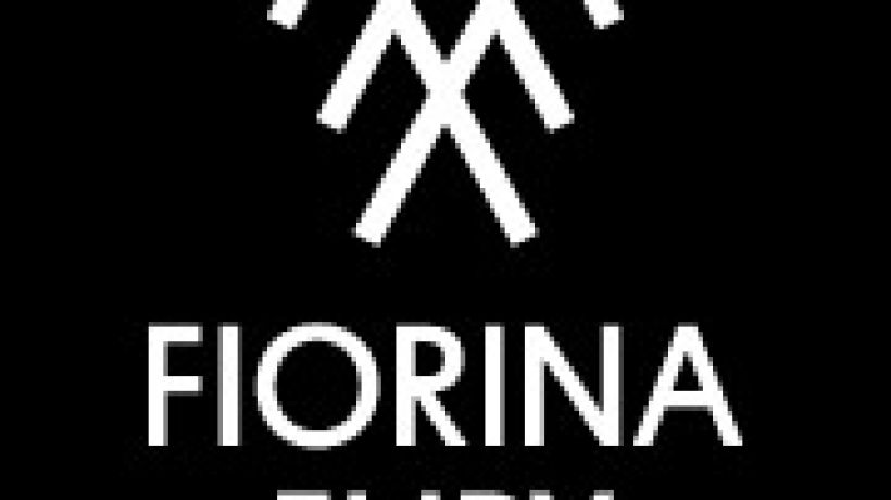 Men's Constellation je první kolekce nové pánské módní značky Fiorina Fury Petra Foltery a Zdeňky Imreczeové