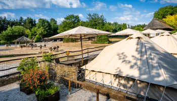 Glamping (nejen) pro karavany! Přinášíme vám šest zajímavých míst po Česku