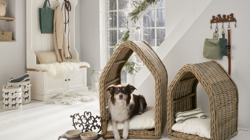 Trendy v bydlení 2026: Když se styl domova rozšiřuje i na naše mazlíčky