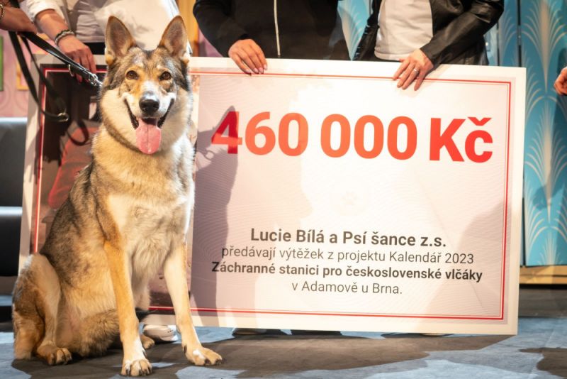 foto Patrik Černoch / se svolením Psí šance z.s.