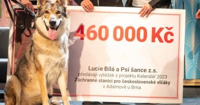 foto Patrik Černoch / se svolením Psí šance z.s.