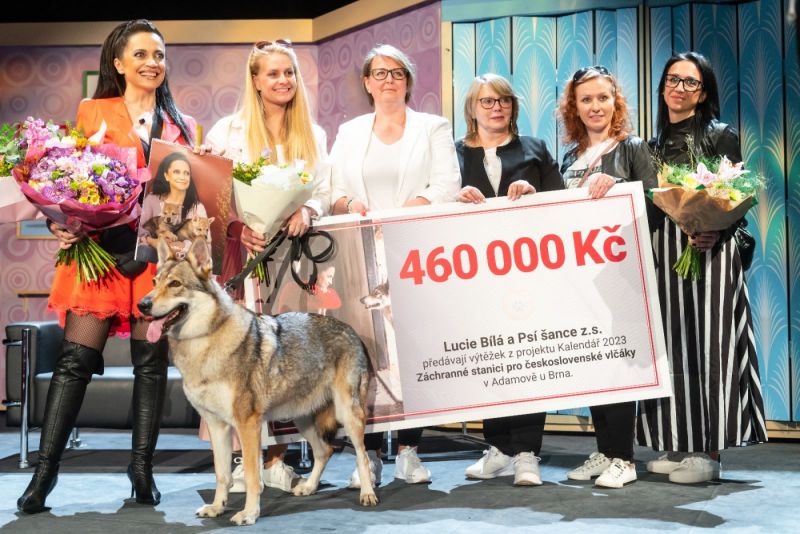 foto Patrik Černoch / se svolením Psí šance z.s.