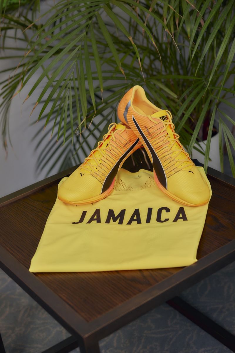 se svolením PUMA