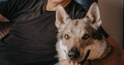 Radim Fiala / foto: Linda Orlik / se svolením Psí šance z.s.