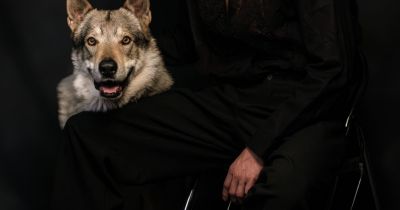 Jan Fanta / foto: Linda Orlik / se svolením Psí šance z.s.