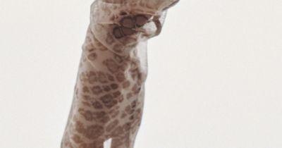 foto: se svolením H&M Studio