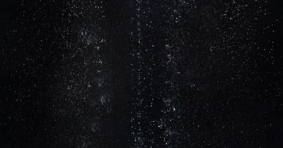 Bill Viola – Tristan_s Ascension