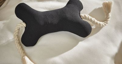 designové doplňky pro zvířátka / foto: se svolením značky Loberon