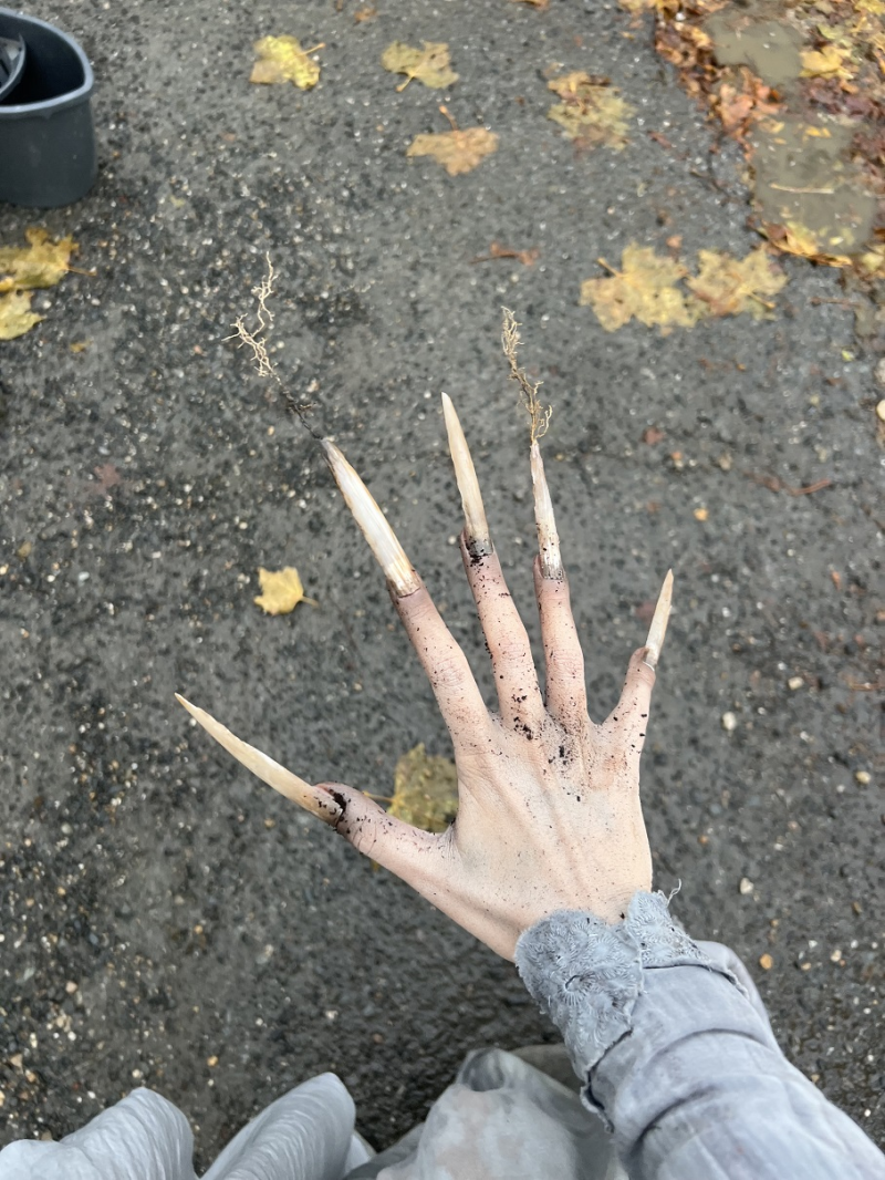 momentky z natáčení hororu Uzel zla / foto: se svolením Nelly Řehořová