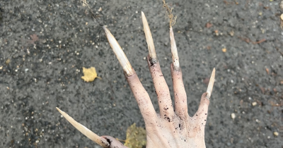 momentky z natáčení hororu Uzel zla / foto: se svolením Nelly Řehořová