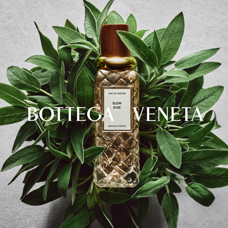 nová kolekce parfémů, foto: se svolením Bottega Veneta