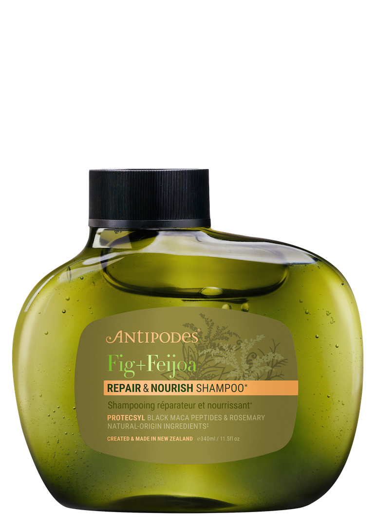 foto: Antipodes